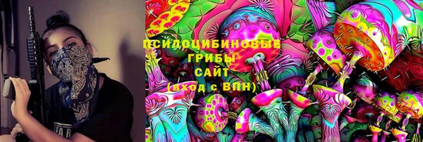 шишки Покачи