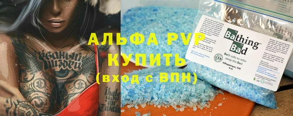 шишки Покачи