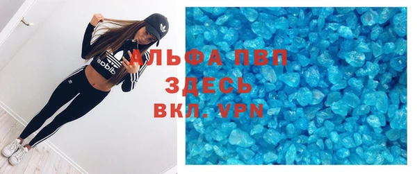 шишки Покачи
