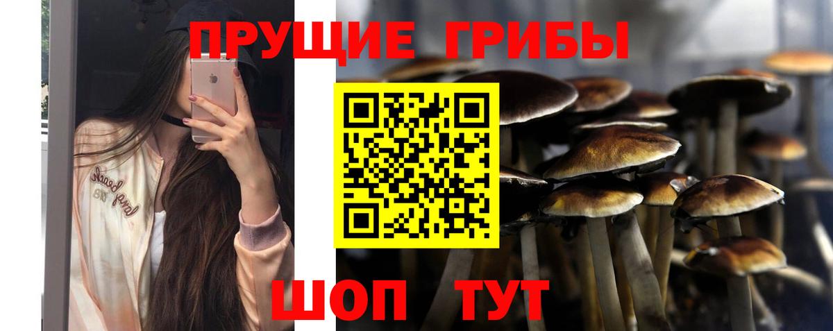 Псилоцибиновые грибы прущие грибы  Вход с VPN  Скопин 