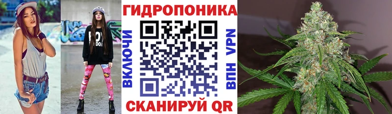 наркота  Скопин  МАРИХУАНА Ganja 